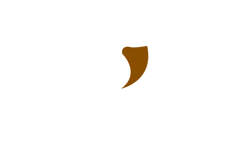 betbhai9